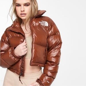 The North Face Nuptse Cropped Jacket, 700 Down, Dark Oak, Woman Small